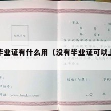 大学毕业证有什么用（没有毕业证可以上大学吗）