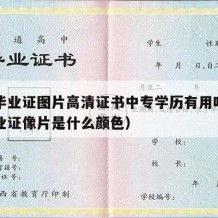 中专毕业证图片高清证书中专学历有用吗（中专毕业证像片是什么颜色）