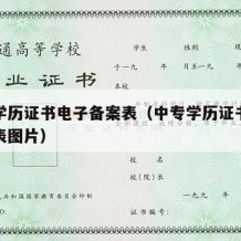 中专学历证书电子备案表（中专学历证书电子备案表图片）