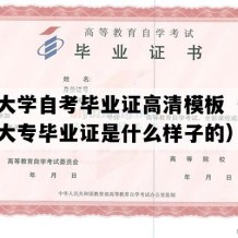 中北大学自考毕业证高清模板（山西自考大专毕业证是什么样子的）