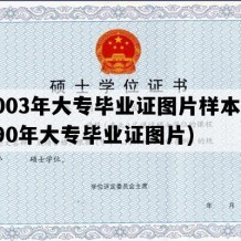 2003年大专毕业证图片样本(1990年大专毕业证图片)