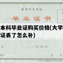 大学本科毕业证购买价格(大学本科毕业证丢了怎么补)