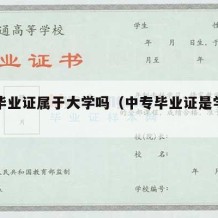 中专毕业证属于大学吗（中专毕业证是学历证书吗）