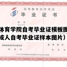 沈阳体育学院自考毕业证模板图片（辽宁成人自考毕业证样本图片）