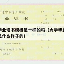 大学毕业证书模板是一样的吗（大学毕业证书里面是什么样子的）