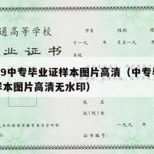 2009中专毕业证样本图片高清（中专毕业证样本图片高清无水印）