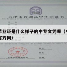 中专毕业证是什么样子的中专文凭呢（中专毕业证官方网）