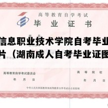 湖南信息职业技术学院自考毕业证样本图片（湖南成人自考毕业证图片样本）