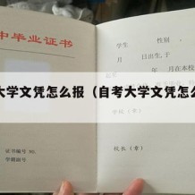 自考大学文凭怎么报（自考大学文凭怎么报考）