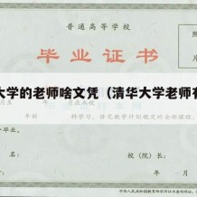 清华大学的老师啥文凭（清华大学老师有哪些）