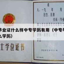 中专毕业证什么样中专学历有用（中专毕业证是什么学历）