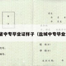 江苏省中专毕业证样子（盐城中专毕业证书）