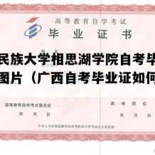 广西民族大学相思湖学院自考毕业证实拍图片（广西自考毕业证如何购买）