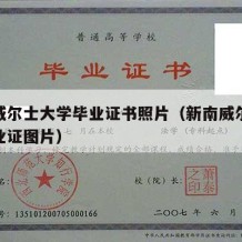 新南威尔士大学毕业证书照片（新南威尔士大学毕业证图片）