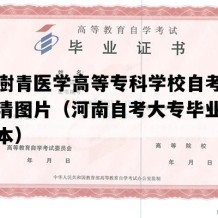 郑州澍青医学高等专科学校自考毕业证高清图片（河南自考大专毕业证高清样本）