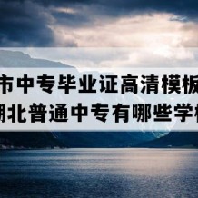 当阳市中专毕业证高清模板(2001年湖北普通中专有哪些学校)