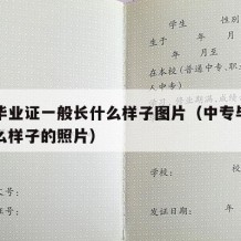 中专毕业证一般长什么样子图片（中专毕业证是什么样子的照片）