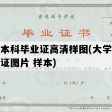 大学本科毕业证高清样图(大学本科毕业证图片 样本)