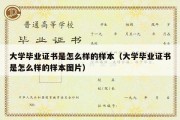 大学毕业证书是怎么样的样本（大学毕业证书是怎么样的样本图片）