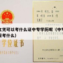 中专文凭可以考什么证中专学历呢（中专文凭可以报考什么）