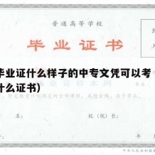 中专毕业证什么样子的中专文凭可以考（中专毕业什么证书）