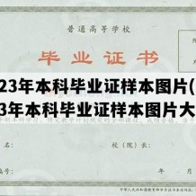 2023年本科毕业证样本图片(2023年本科毕业证样本图片大全)