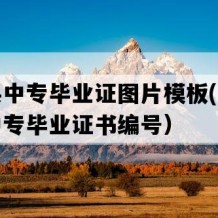 昌乐县中专毕业证图片模板(八十年代老中专毕业证书编号）