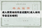 成人教育本科毕业证图片(成人本科毕业证长啥样)