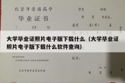 大学毕业证照片电子版下载什么（大学毕业证照片电子版下载什么软件查询）