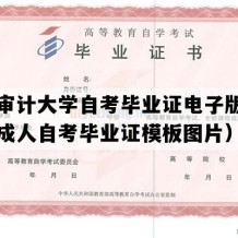 南京审计大学自考毕业证电子版图（江苏成人自考毕业证模板图片）