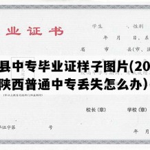 陇县中专毕业证样子图片(2006年陕西普通中专丢失怎么办）