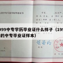 1999中专学历毕业证什么样子（1999年的中专毕业证样本）