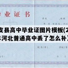 南皮县高中毕业证图片模板(2006年河北普通高中丢了怎么补）