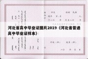 河北省高中毕业证图片2019（河北省普通高中毕业证样本）