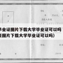 大学毕业证图片下载大学毕业证可以吗（大学毕业证图片下载大学毕业证可以吗）