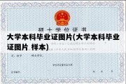 大学本科毕业证图片(大学本科毕业证图片 样本)