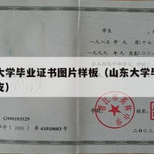 山东大学毕业证书图片样板（山东大学毕业证书封皮）