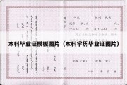 本科毕业证模板图片（本科学历毕业证图片）