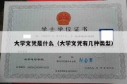 大学文凭是什么（大学文凭有几种类型）