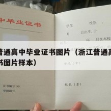 浙江普通高中毕业证书图片（浙江普通高中毕业证书图片样本）