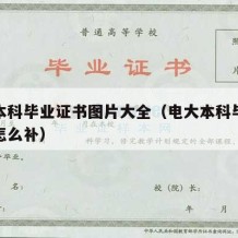 电大本科毕业证书图片大全（电大本科毕业证丢了怎么补）