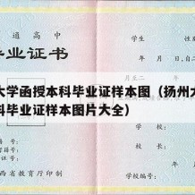 扬州大学函授本科毕业证样本图（扬州大学函授本科毕业证样本图片大全）