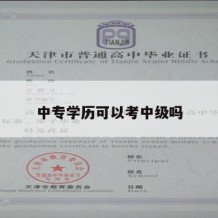 中专学历可以考中级吗