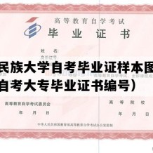 大连民族大学自考毕业证样本图片（辽宁自考大专毕业证书编号）