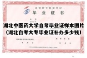 湖北中医药大学自考毕业证样本图片（湖北自考大专毕业证补办多少钱）