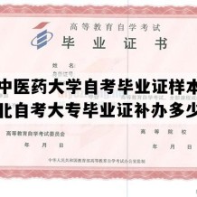 湖北中医药大学自考毕业证样本图片（湖北自考大专毕业证补办多少钱）