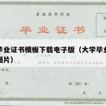 大学毕业证书模板下载电子版（大学毕业证书高清图片）