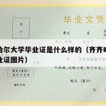 齐齐哈尔大学毕业证是什么样的（齐齐哈尔大学毕业证图片）