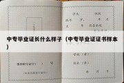 中专毕业证长什么样子（中专毕业证证书样本）