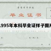 1995年本科毕业证样子图片